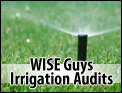 WISE Guys Irrigation Audits