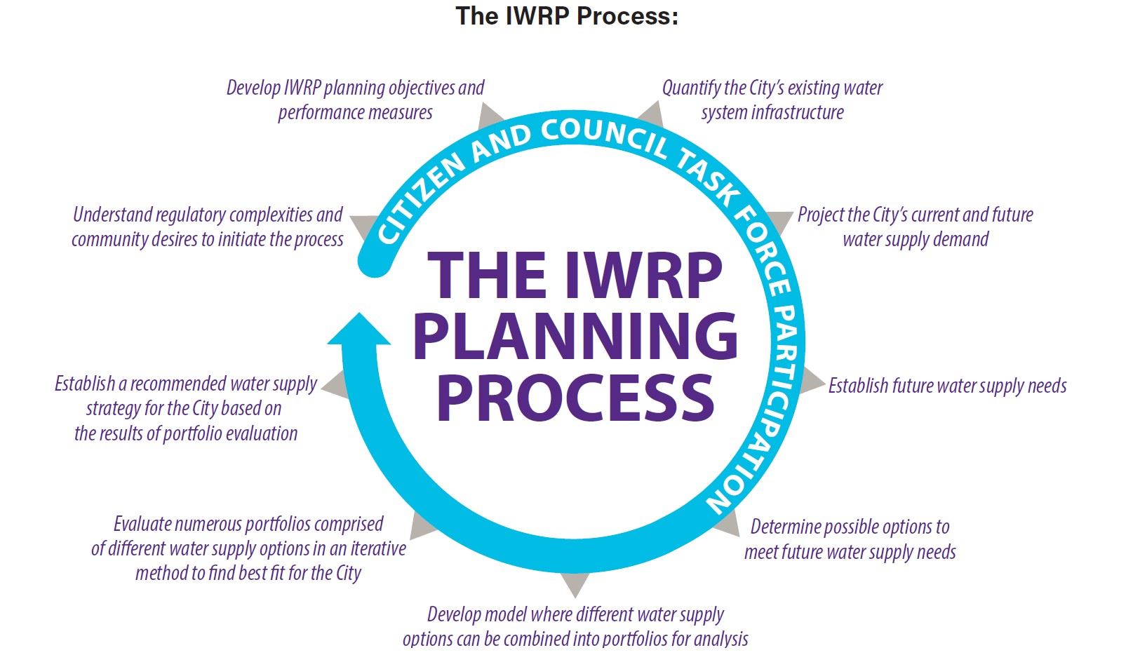 The IWRP Process