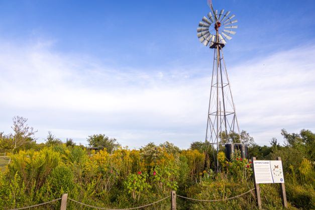 Memorial Park Butterfly Garden