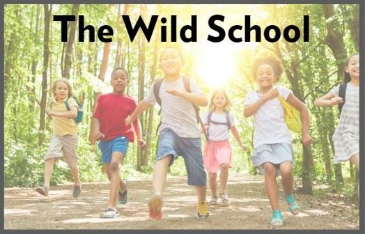 The Wild School widget