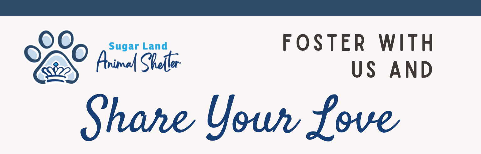 Sugar Land Animal Shelter: Foster With Us and Share Your Love