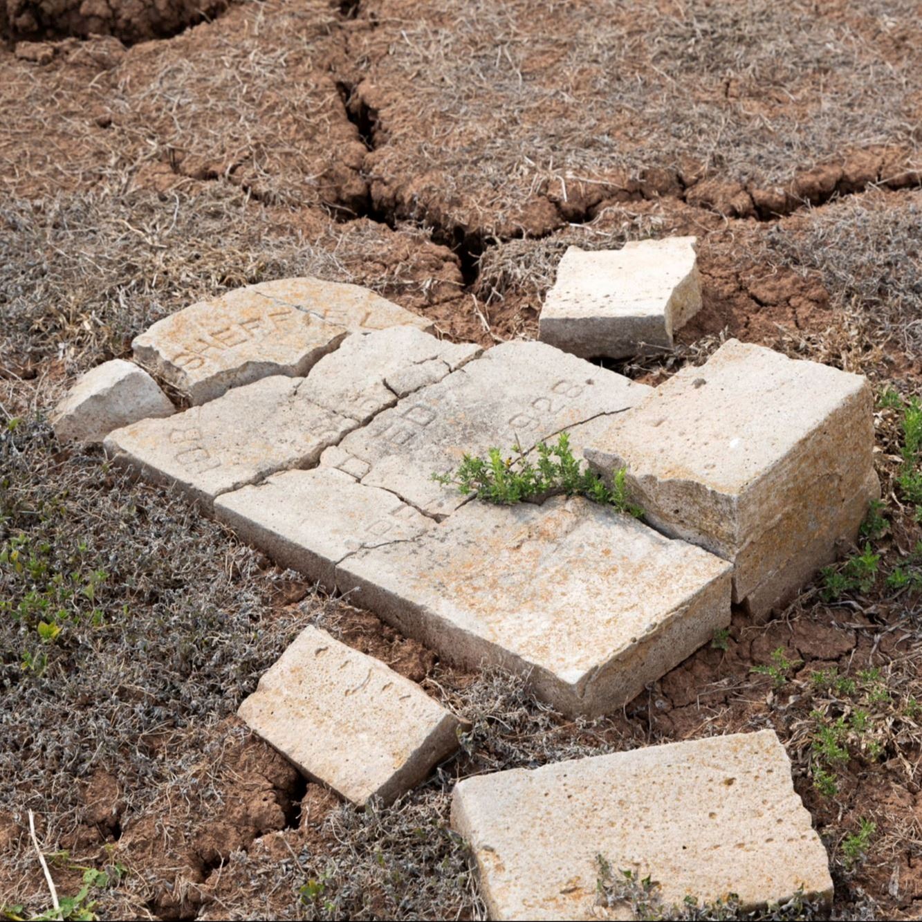 Pre-Restoration of Tobe Sheffield's gravestone in 2023
